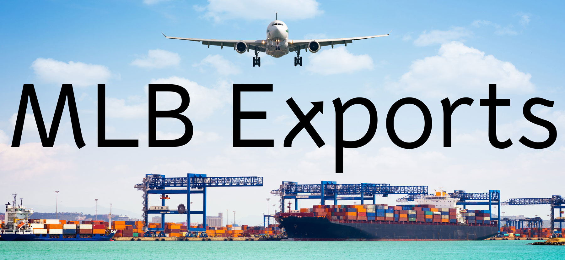 MLB Exports